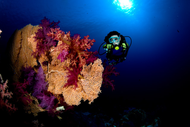 40-REDSEA-BEST-OF-62