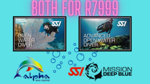 Scuba Refresher Course Cape Town