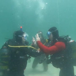 Scuba Refresher Course Cape Town