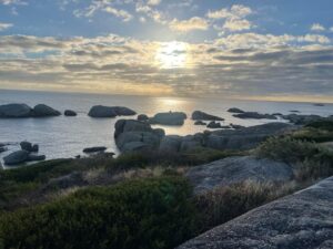 Scuba Diving Cape Town