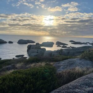 Scuba Diving Cape Town