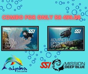 Scuba Diving Course in Cape Town