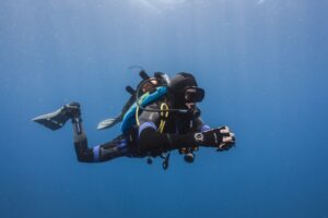 Scuba Diving in Cape Town