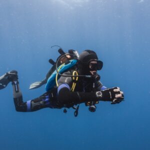 Scuba Diving in Cape Town