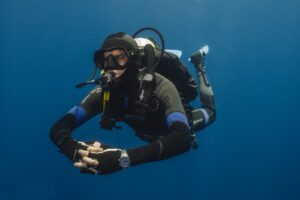 Kelp Diving Cape Town
