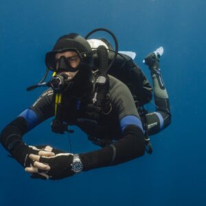 Kelp Diving Cape Town