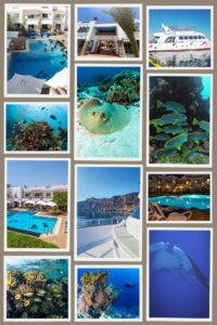 Scuba Gear Rental Cape Town
