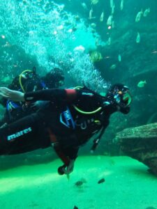 Rescue Diver Course Cape Town