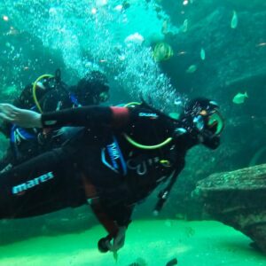 Rescue Diver Course Cape Town